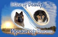 IRLINE OF BEAUTY - kennel of collies and tervurens, Russia, Samara